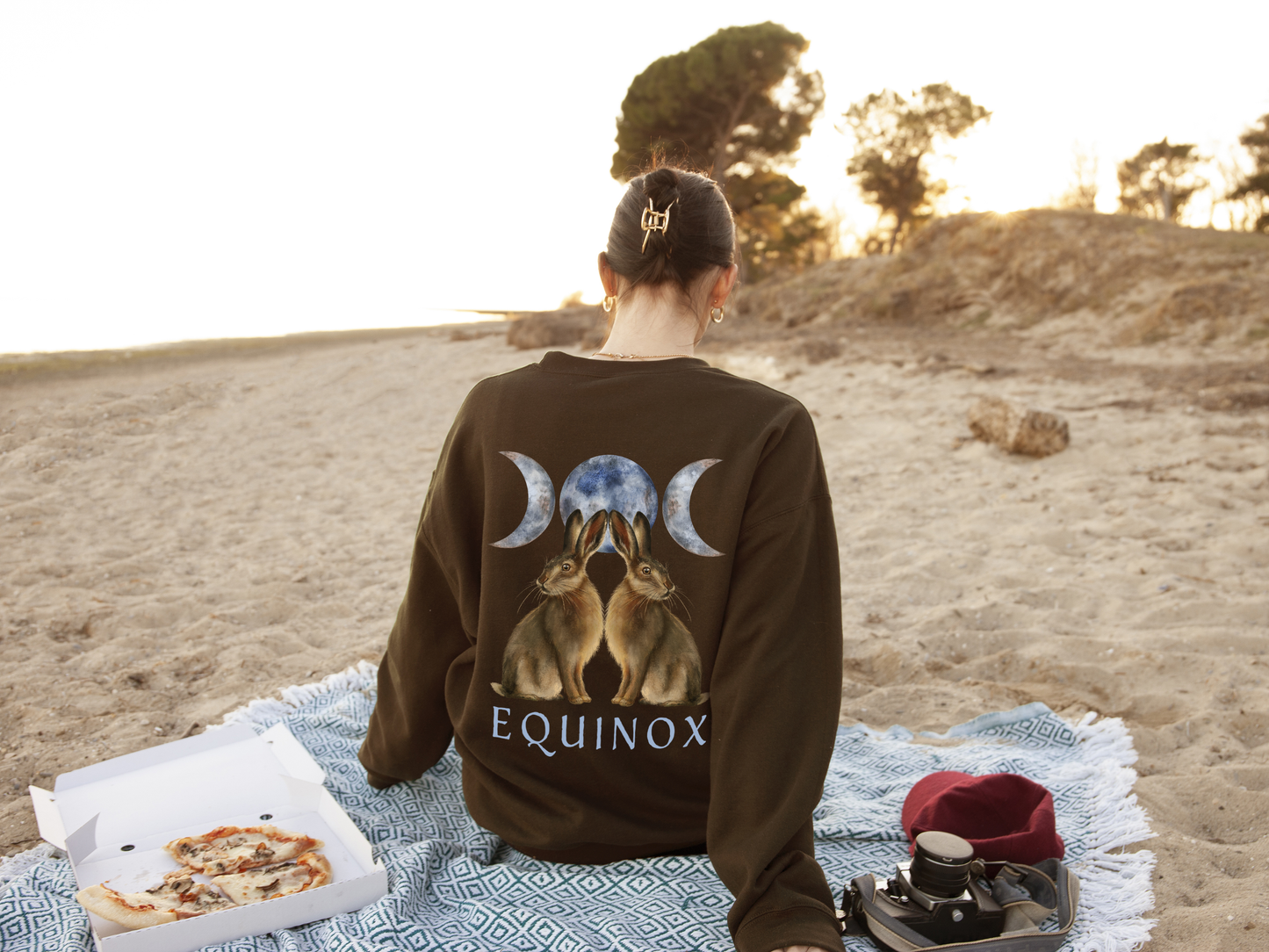 Equinox Sweatshirt in chocolate